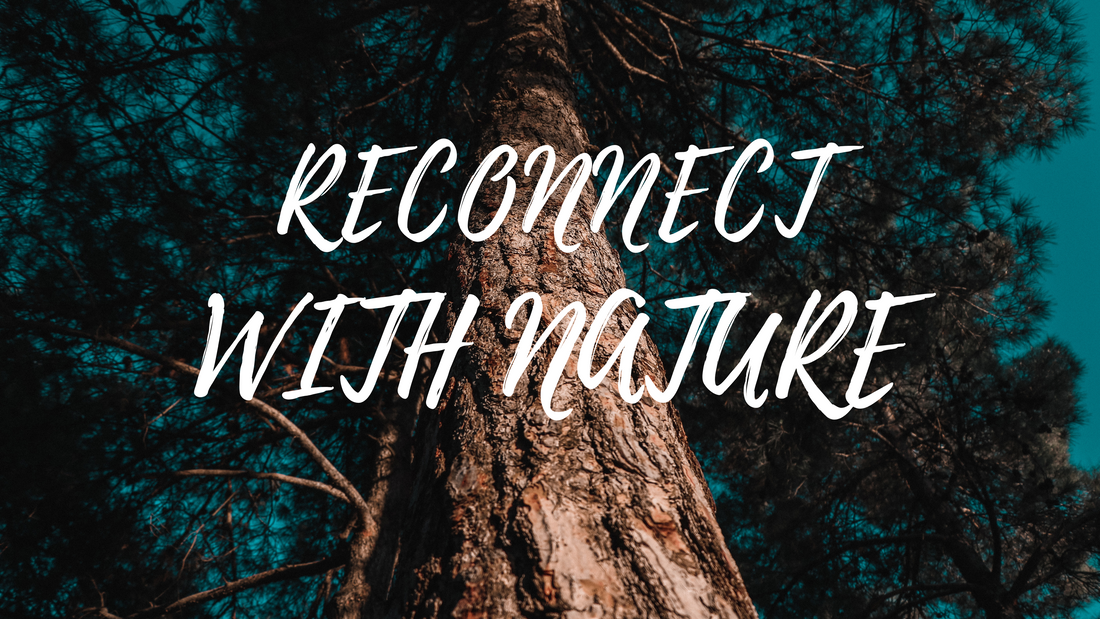 🌱Reconnect: How Nature Heals Us