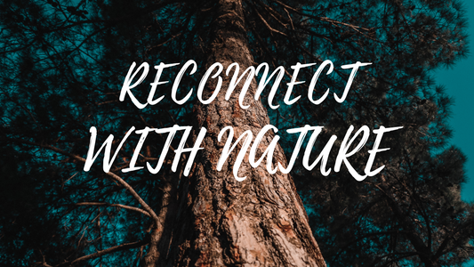 🌱Reconnect: How Nature Heals Us