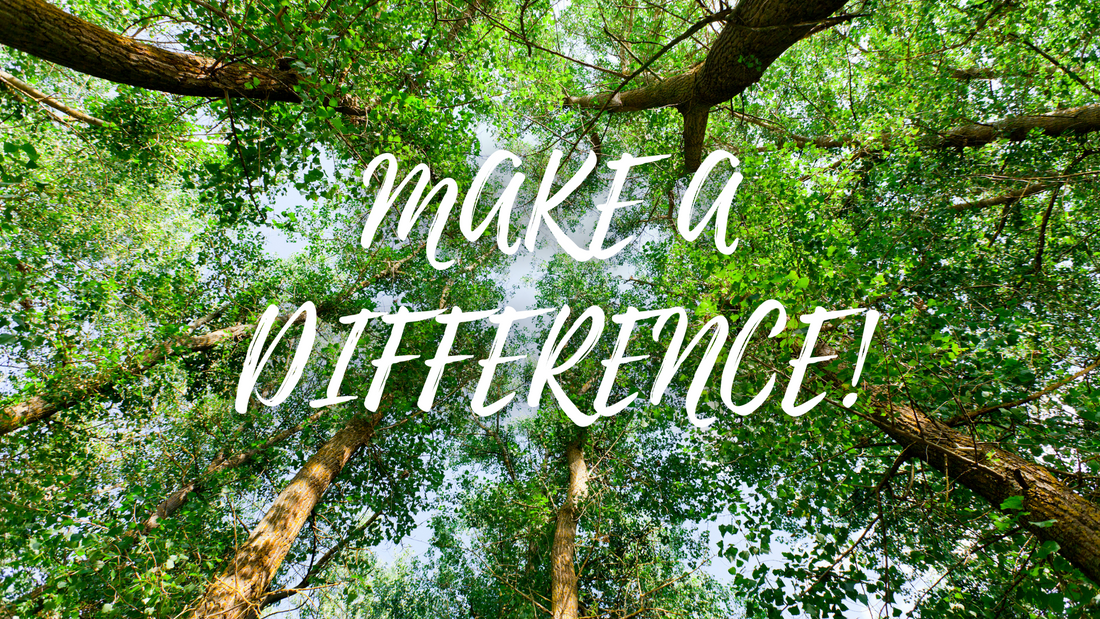 🌿 Why We Plant Trees with Every Tee